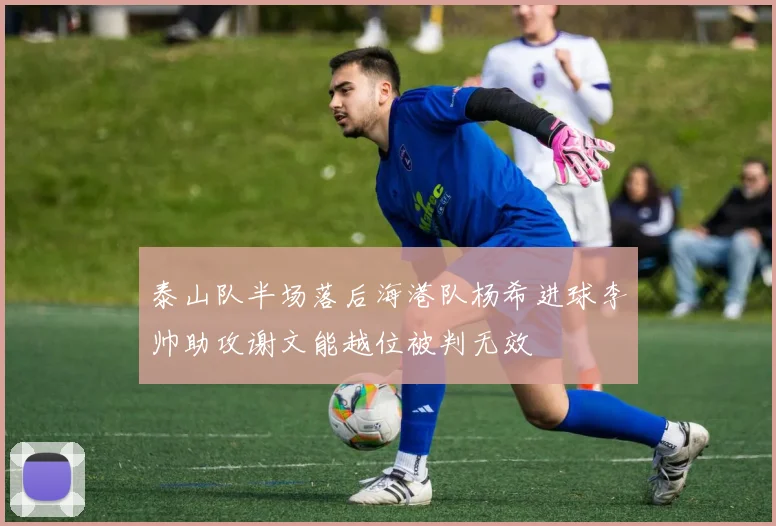 泰山队半场落后海港队杨希进球李帅助攻谢文能越位被判无效